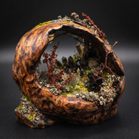 Beautiful Burl Mushroom Lamp