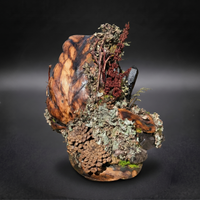 Beautiful Burl Mushroom Lamp